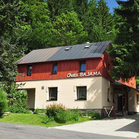 Chata Bajama Bedřichov Exteriör bild