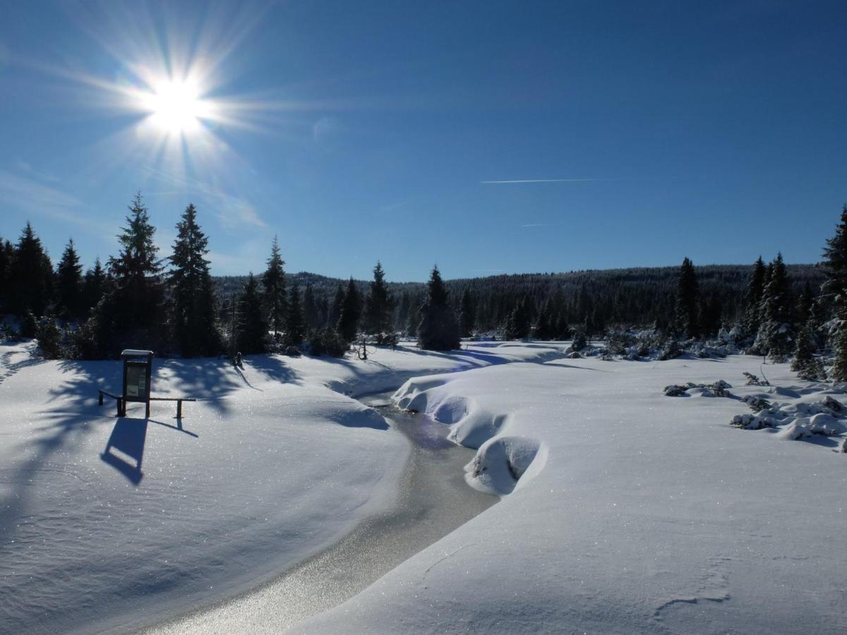 Chata Bajama Bedřichov Exteriör bild