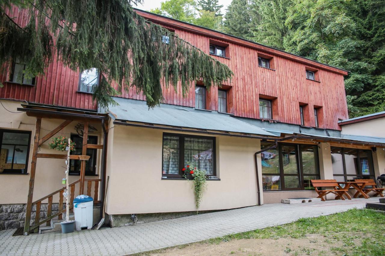 Chata Bajama Bedřichov Exteriör bild